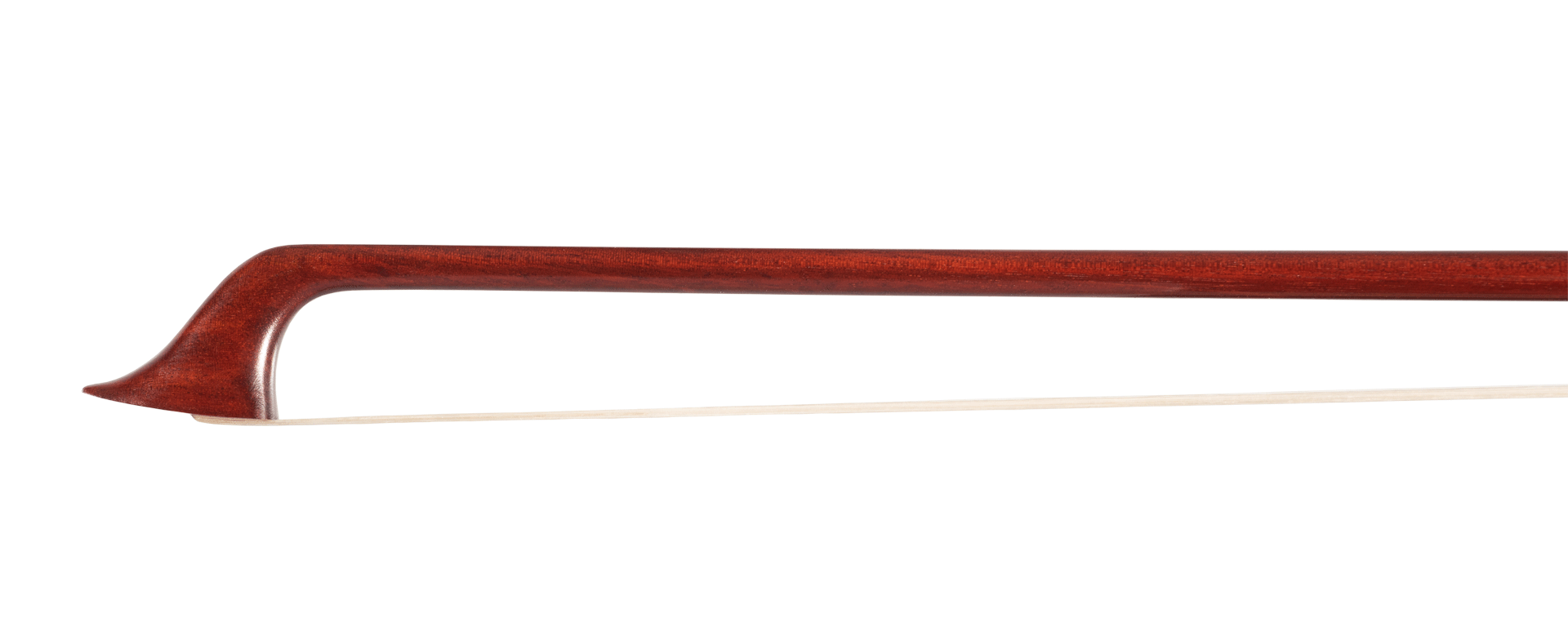 Violino Collo di Cigno