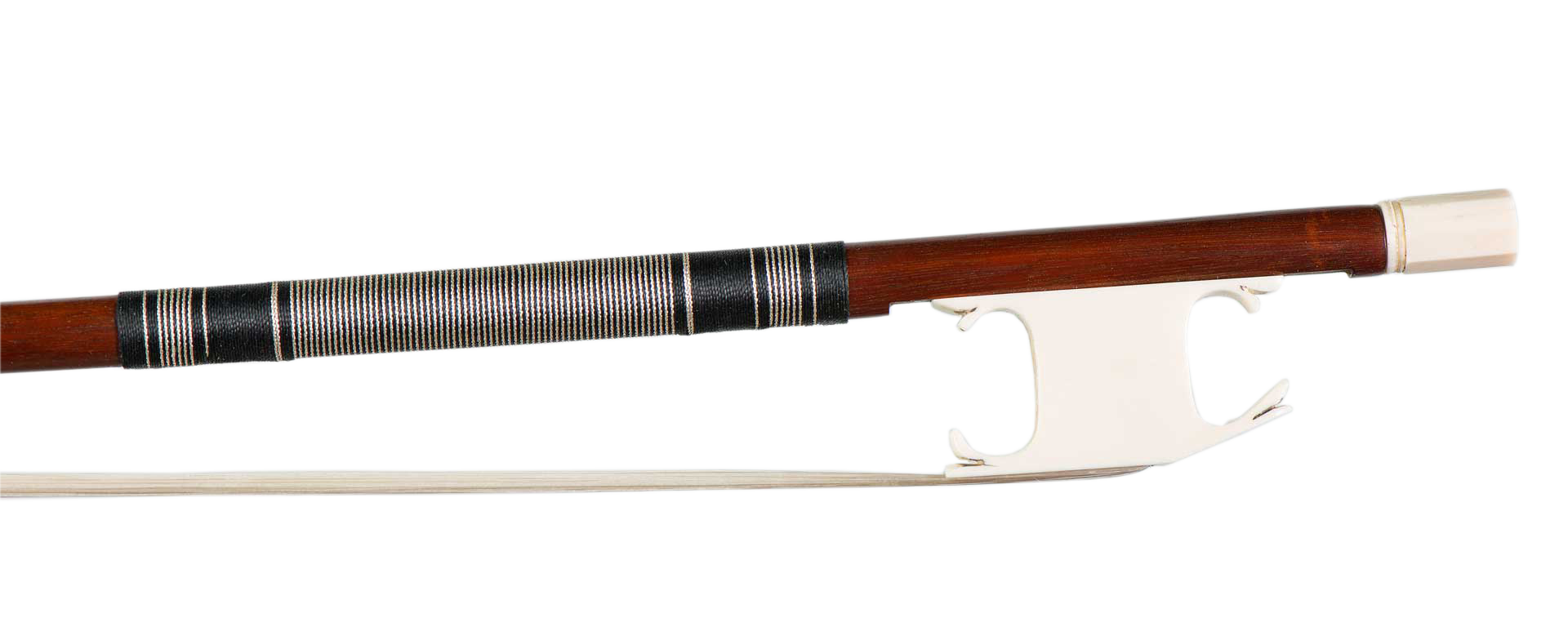 Violino Carmignola