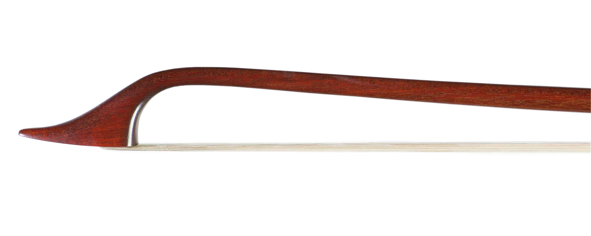 Violino Carmignola