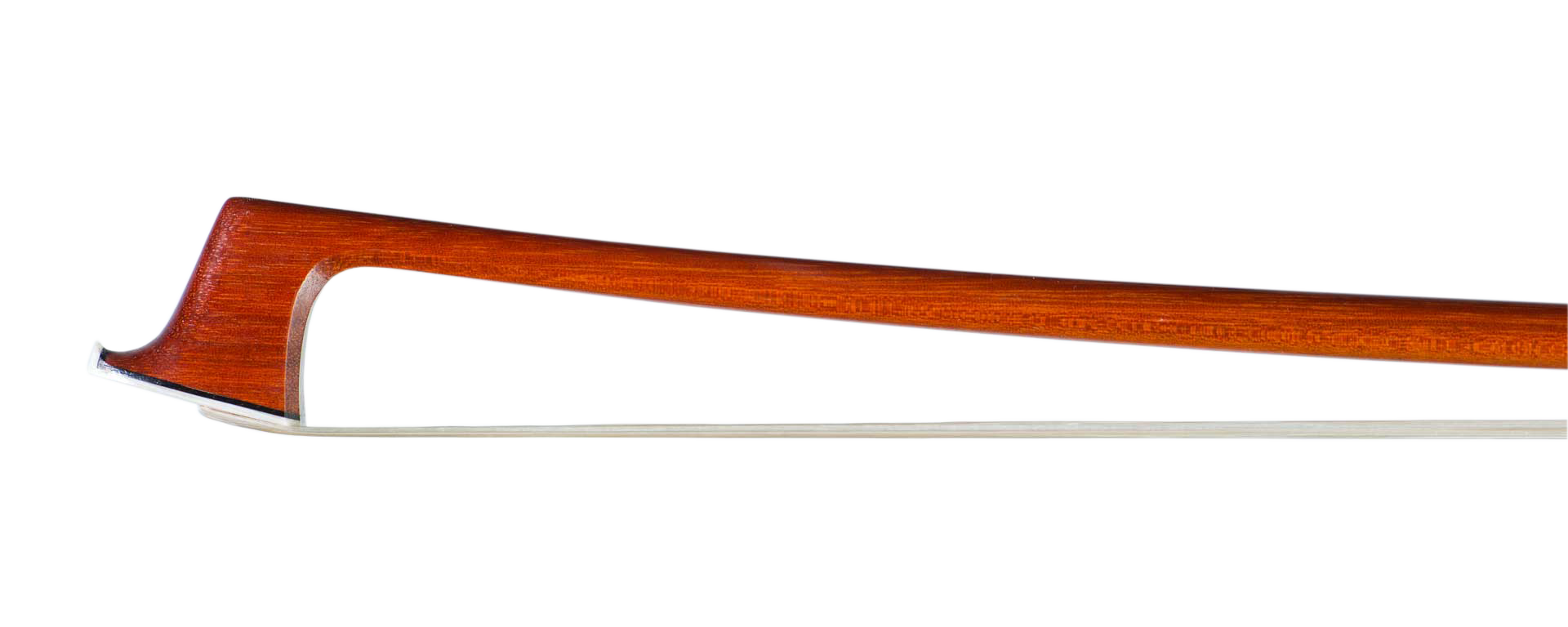Violino PECCATE