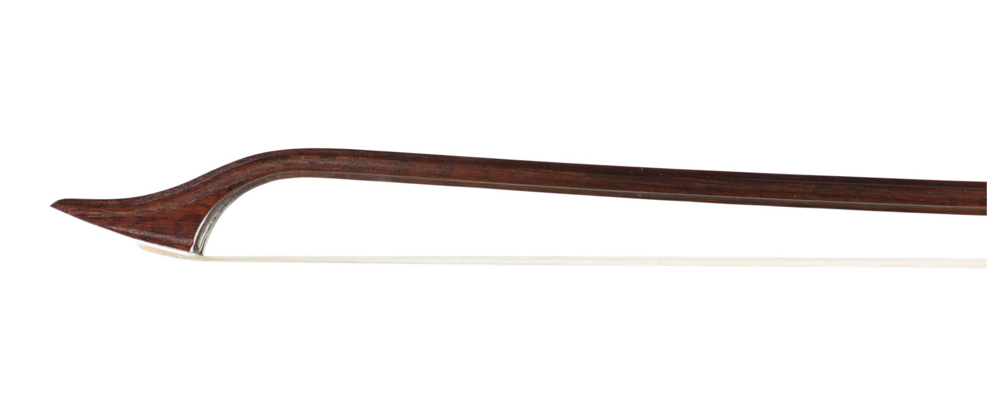 Violino TOLBEQUE